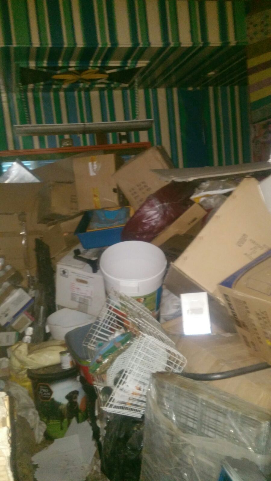 לכלוך וזוהמה בדירה ברחוב יל פרץ בחולון (2)