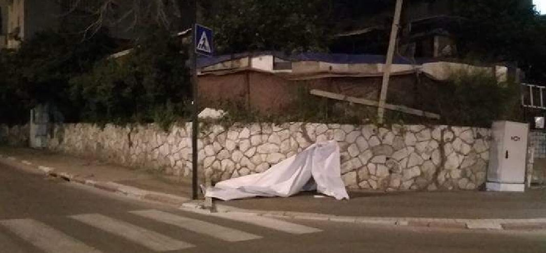 שלט רמי1