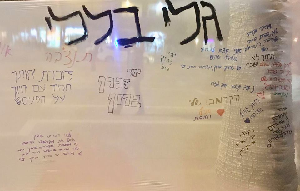גלי בללי3