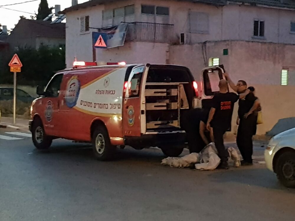 הדברה פת1