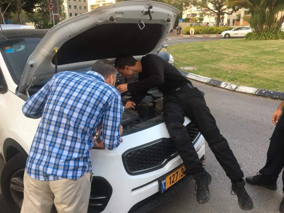 חילוץ חתול