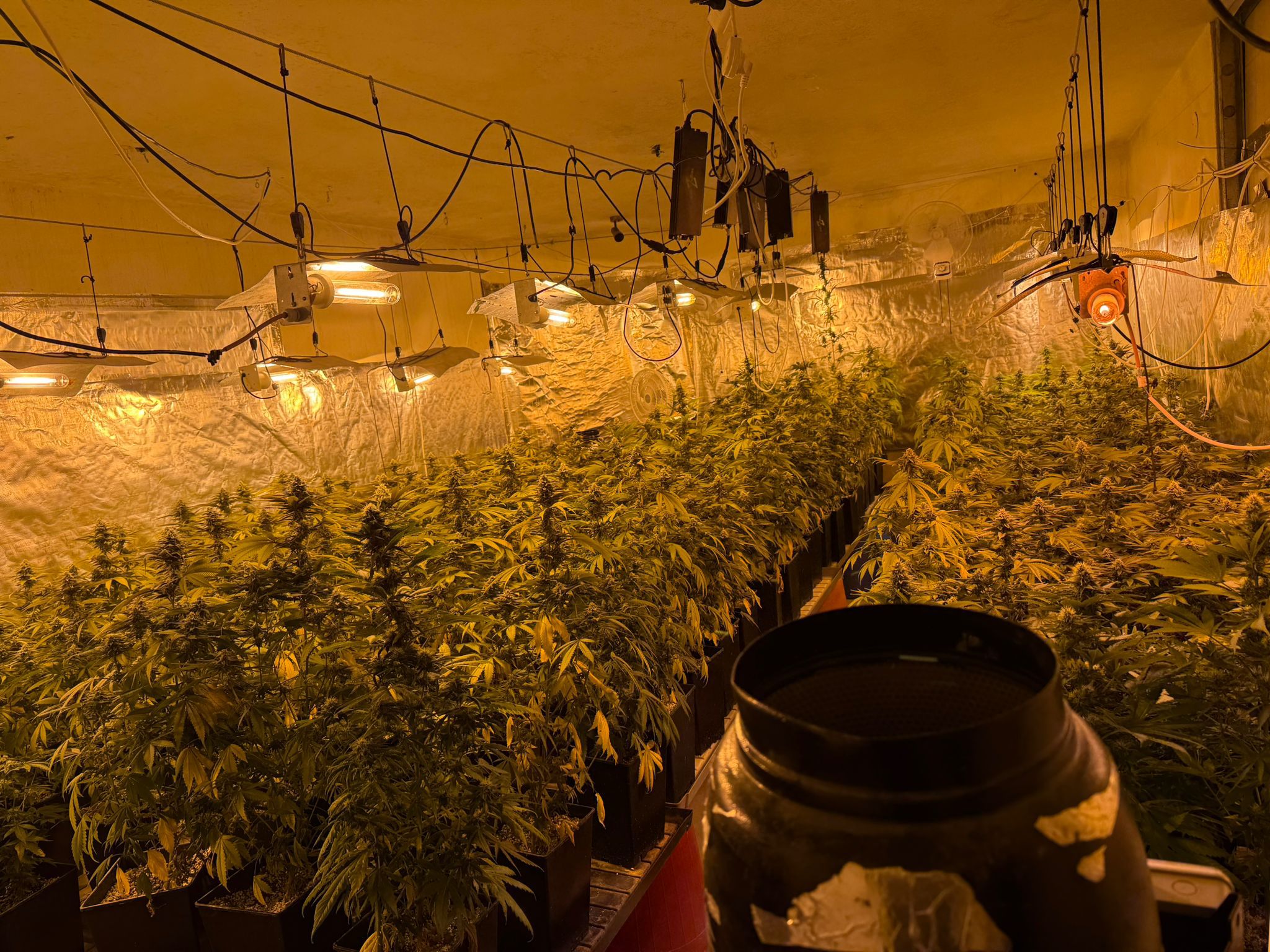 ashkelon drugs