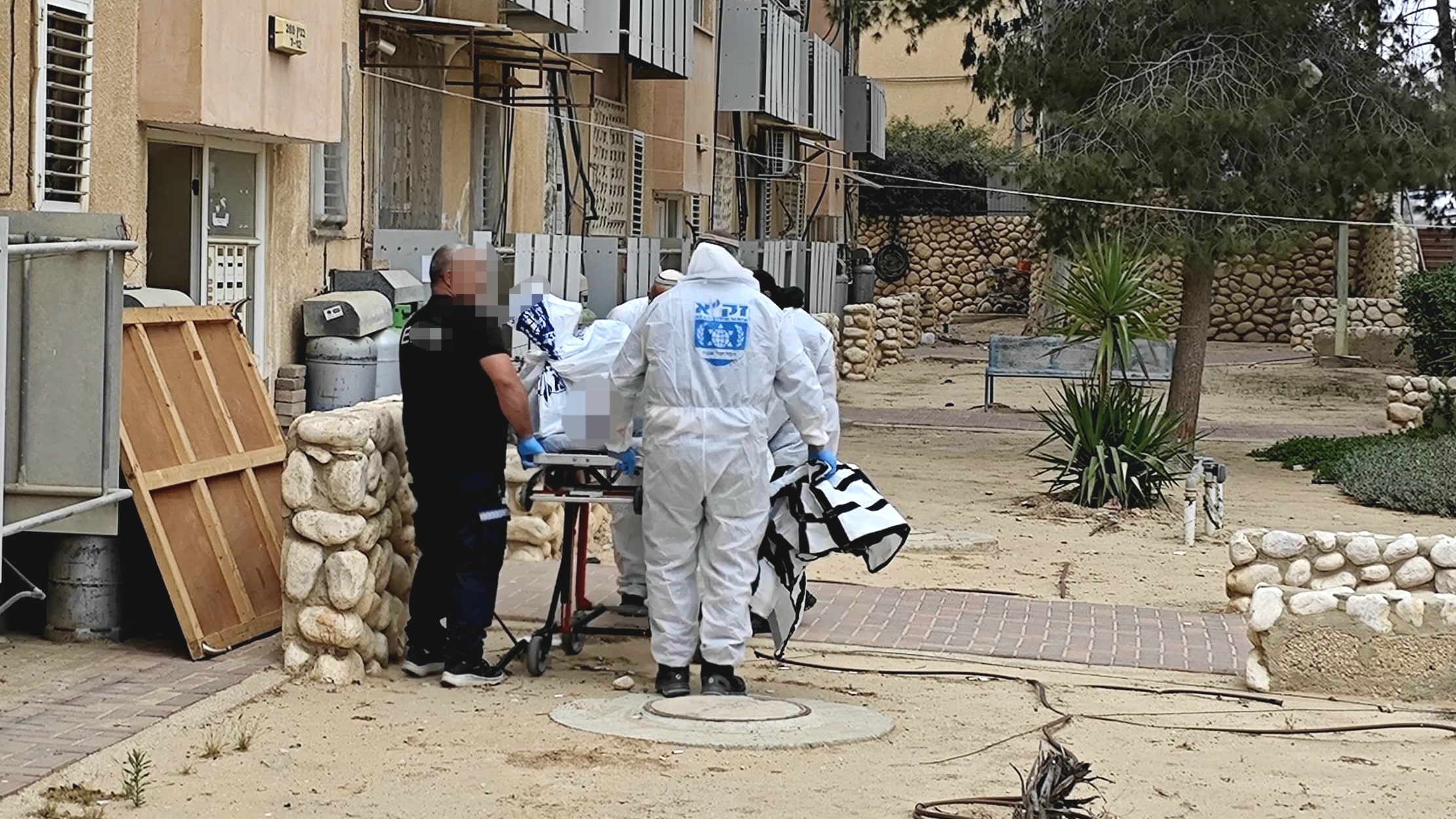 zaka dimona 54