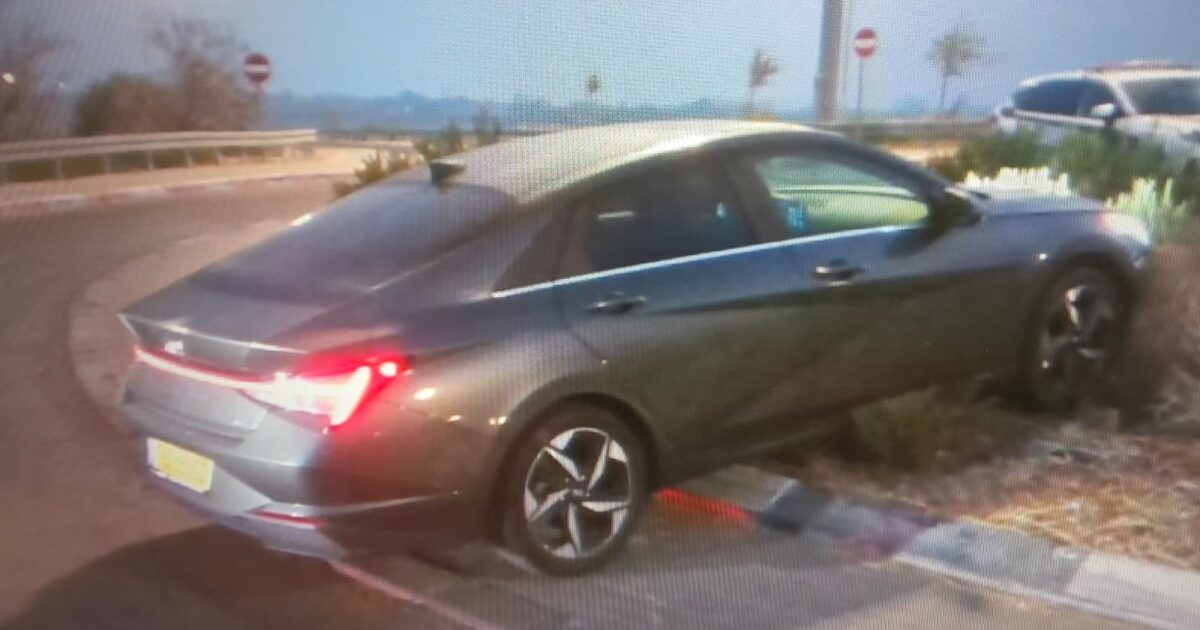 ashdod car steal young