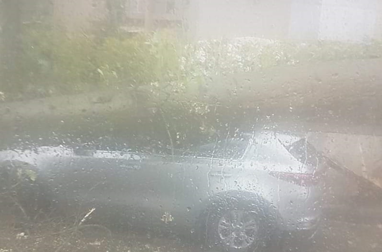 העץ שקרס על רכב, מעוצמת הרוח, בבן אליעזר ברמת גן. צילום: פייסבוק
