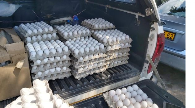 הביצים המזויפות שהוחרמו מהמרכול ברמת גן. צילום: עיריית רמת גן
