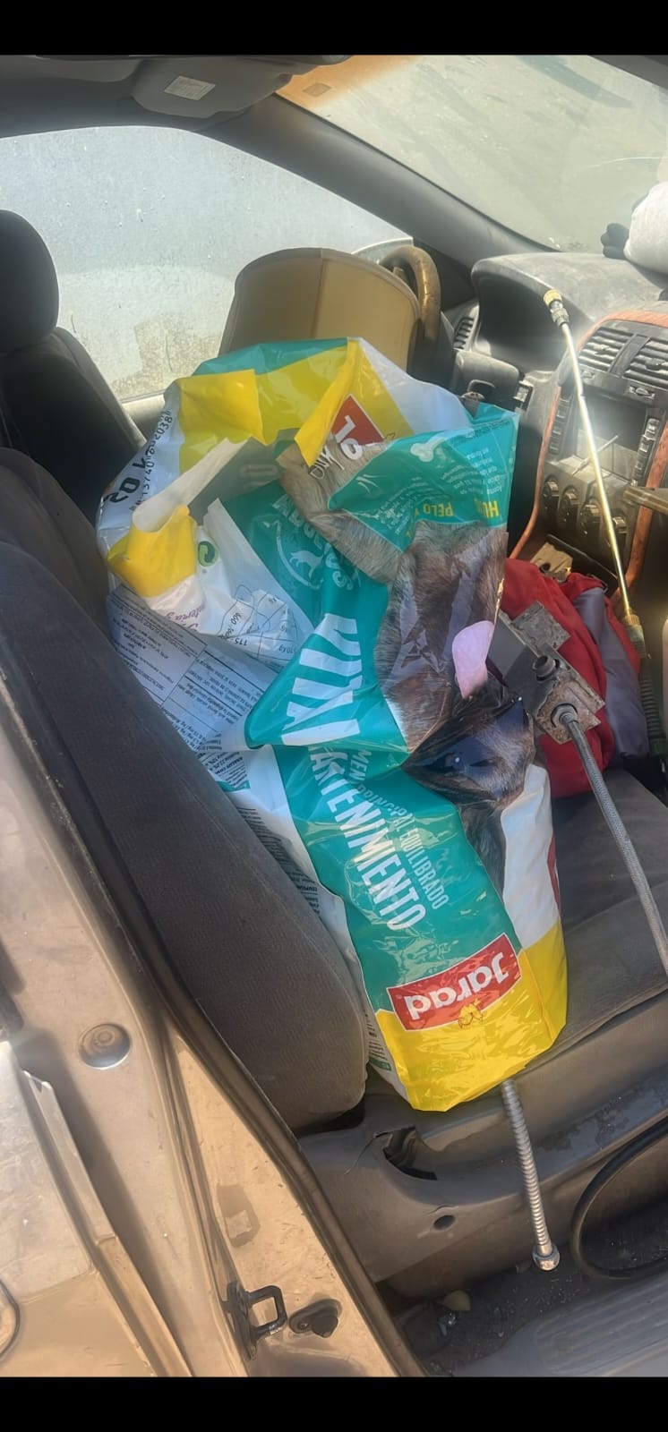 stolen animel food