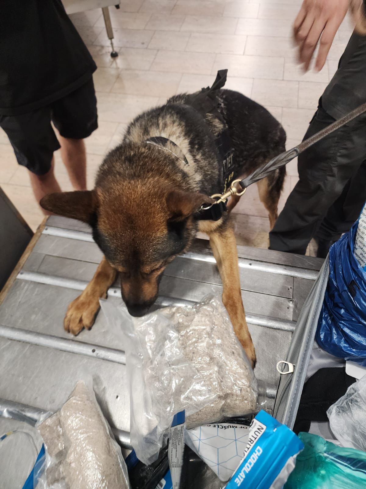 dog natbag drugs