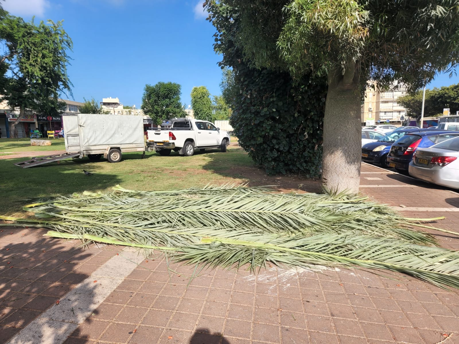 tamart sukut bat yam