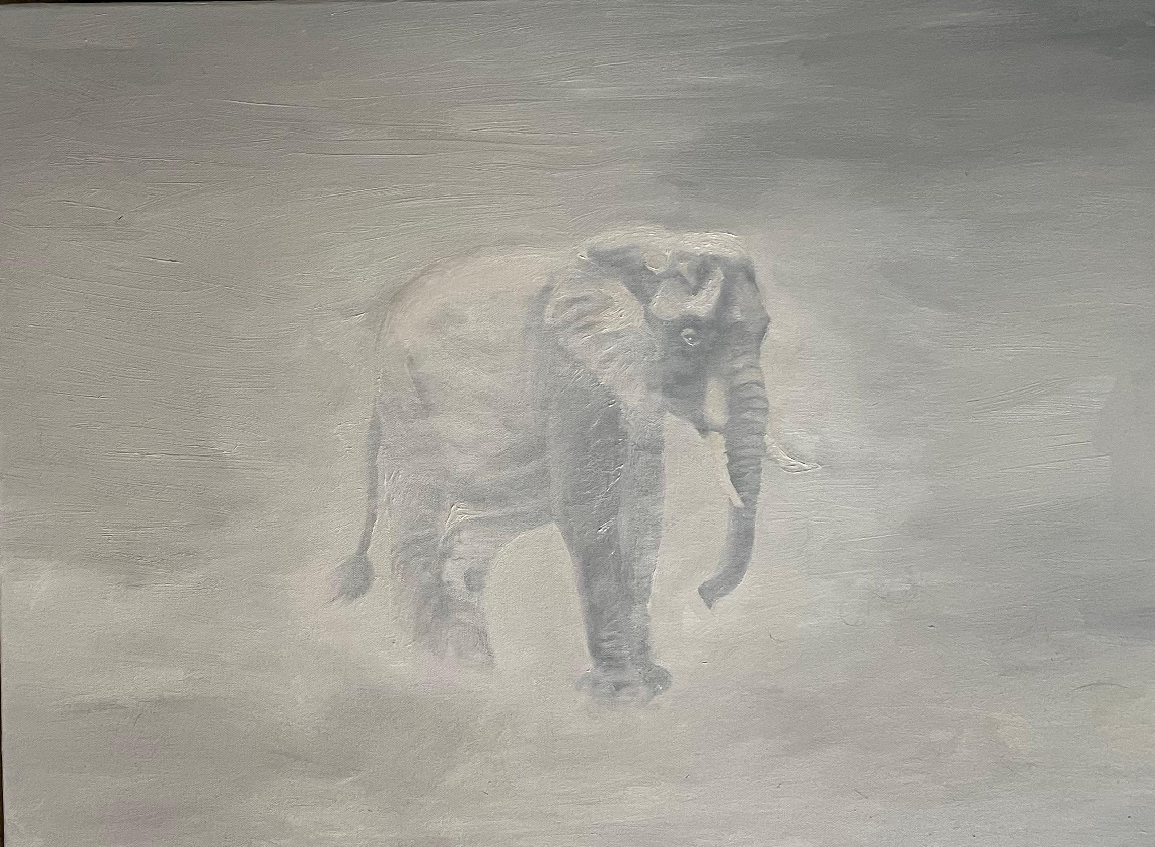 elephent bat yam2
