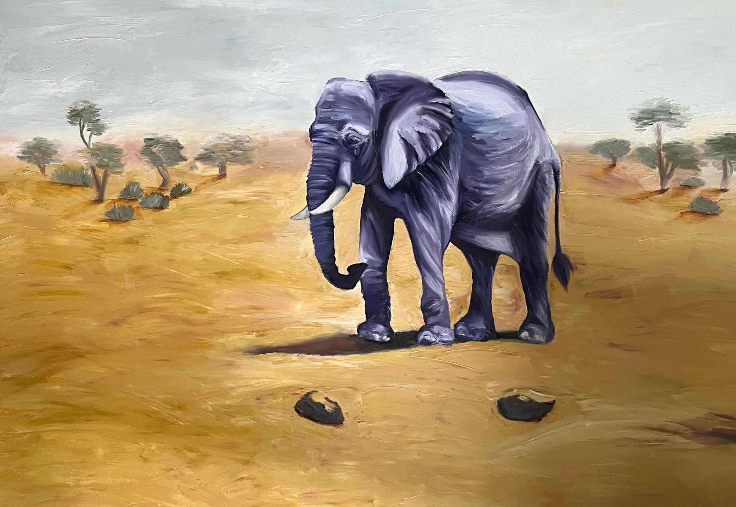 elephent bat yam