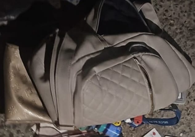 hand bag tlv