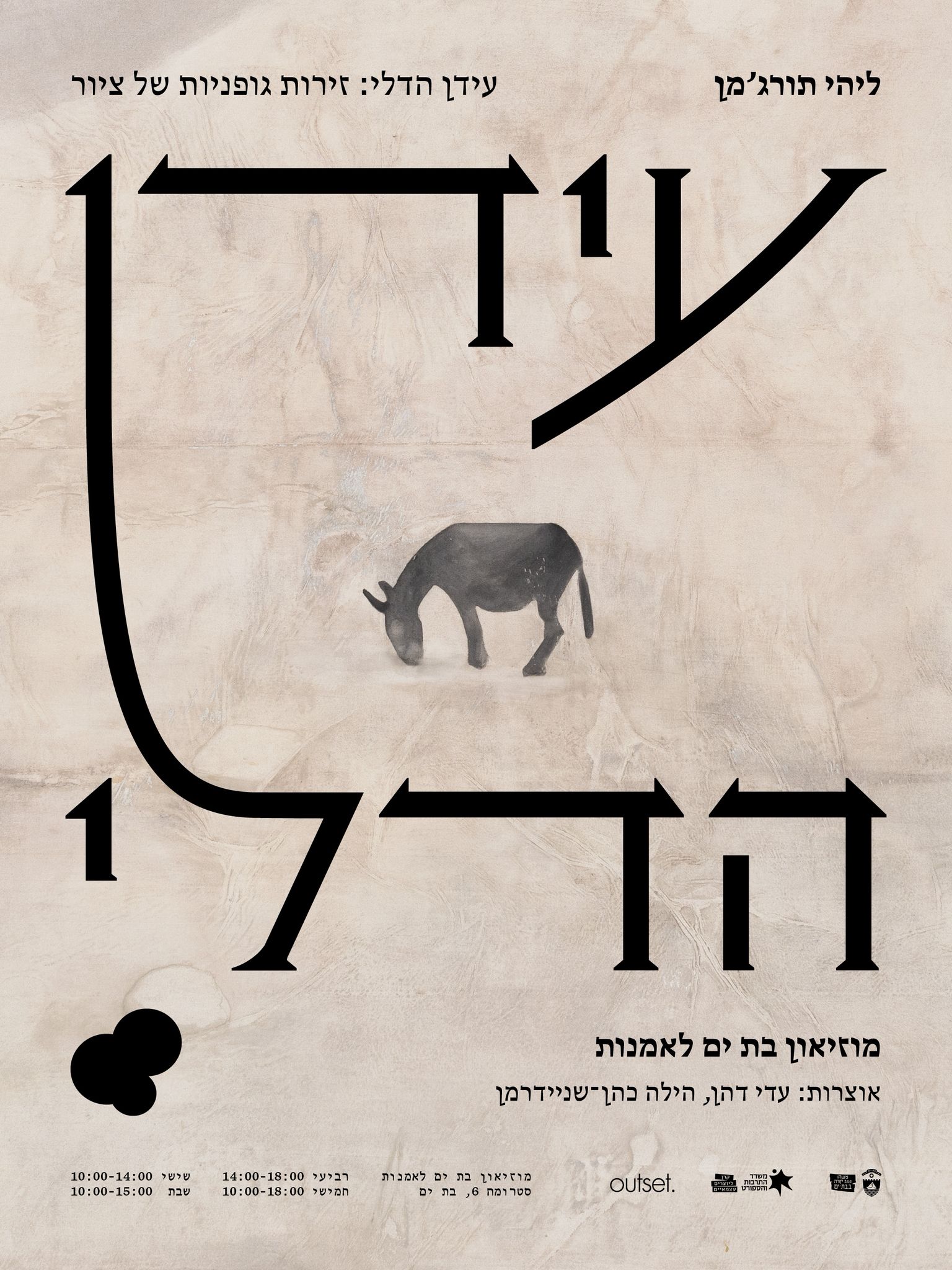 idan hadli