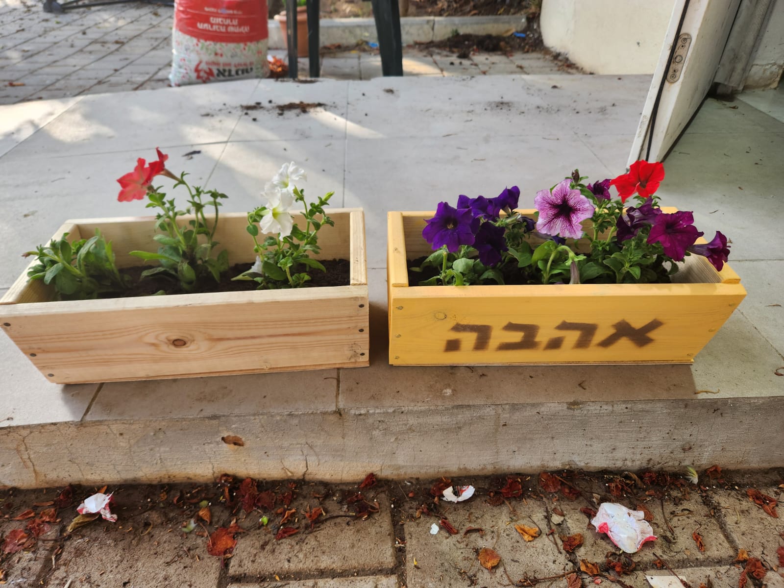 ahava bat yam