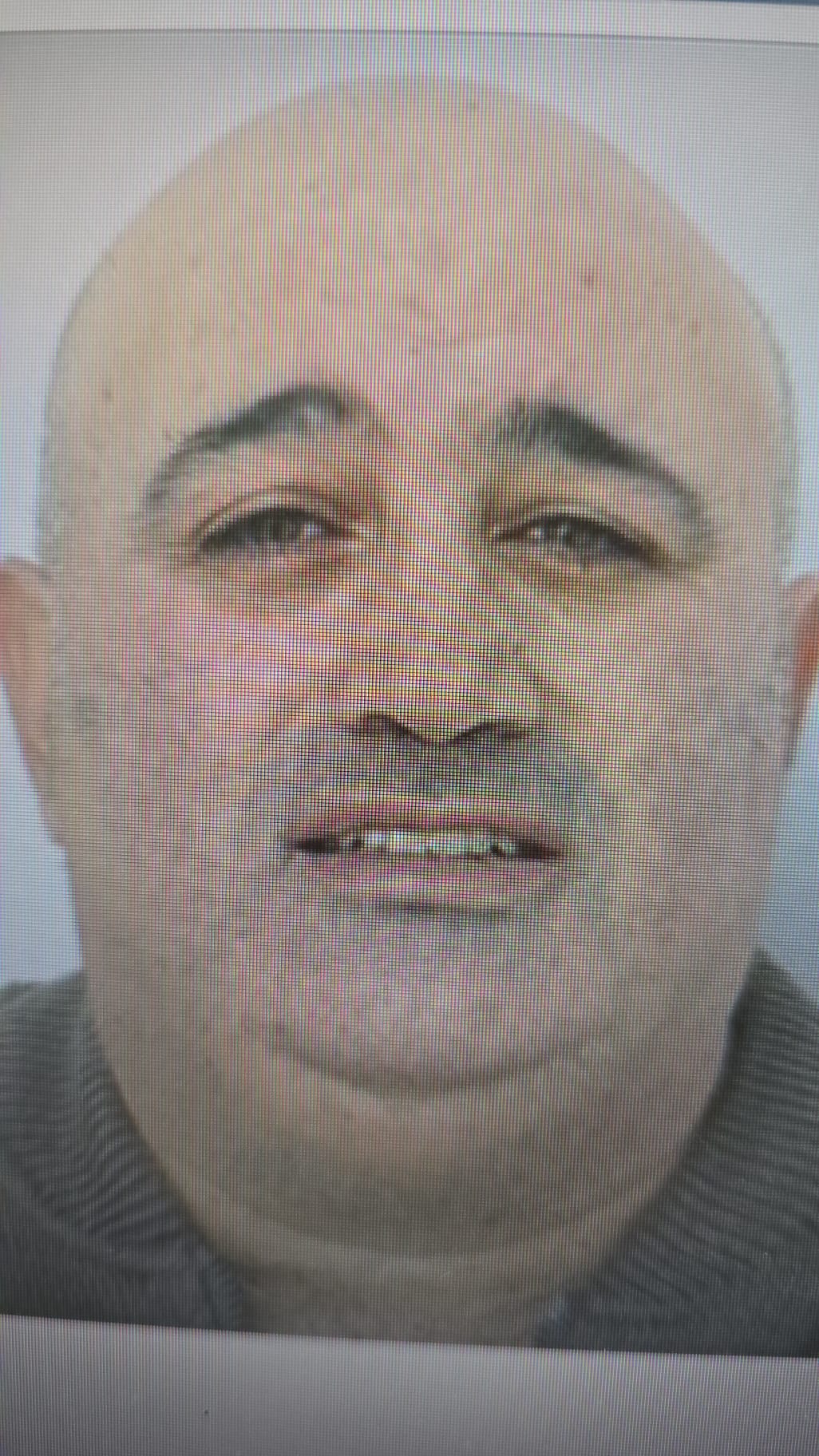 yossef ness