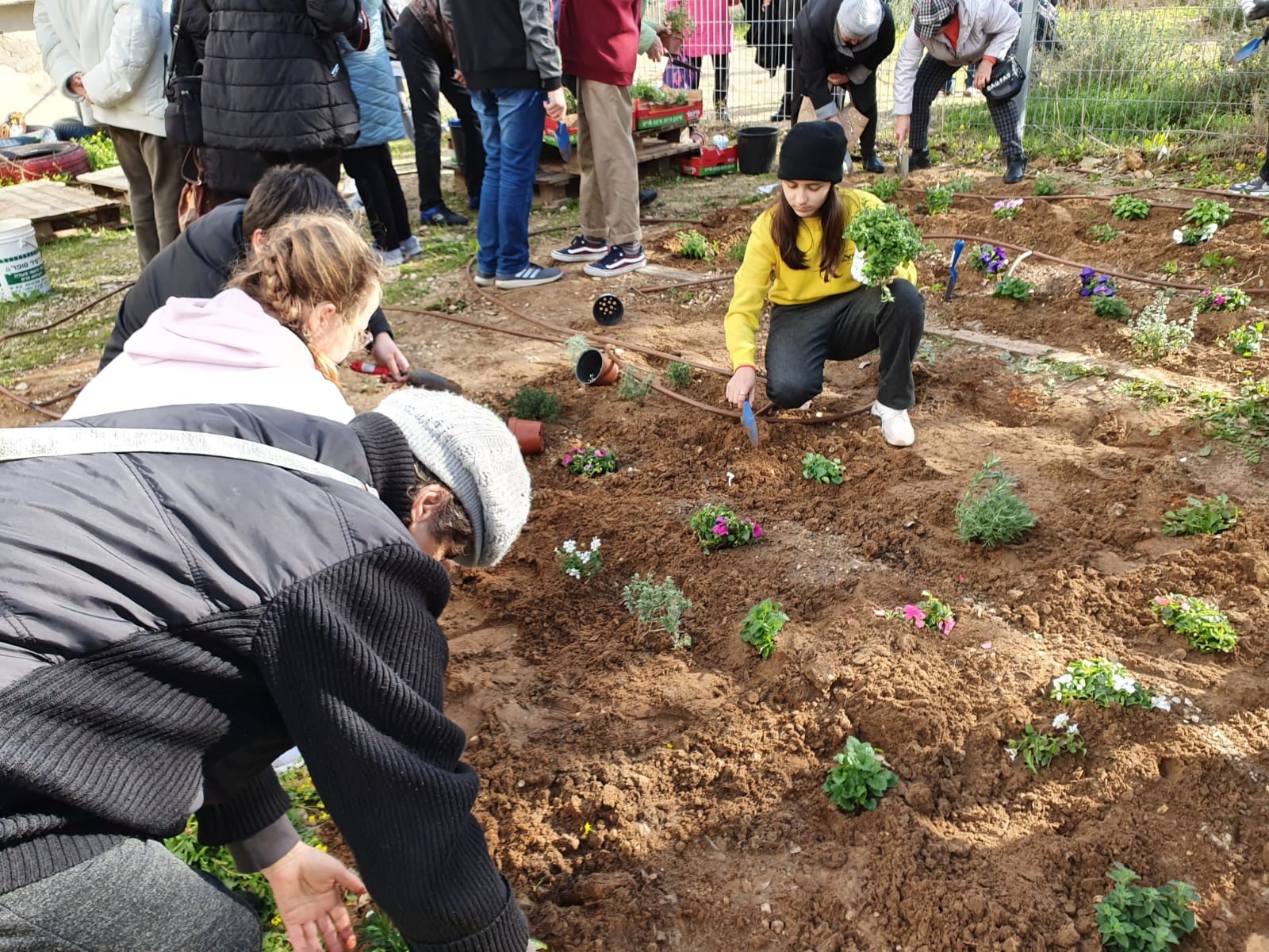 2 bishvat bat yam1