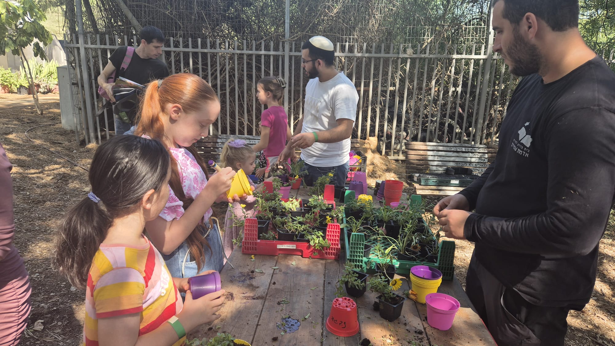 2 bishvat bat yam