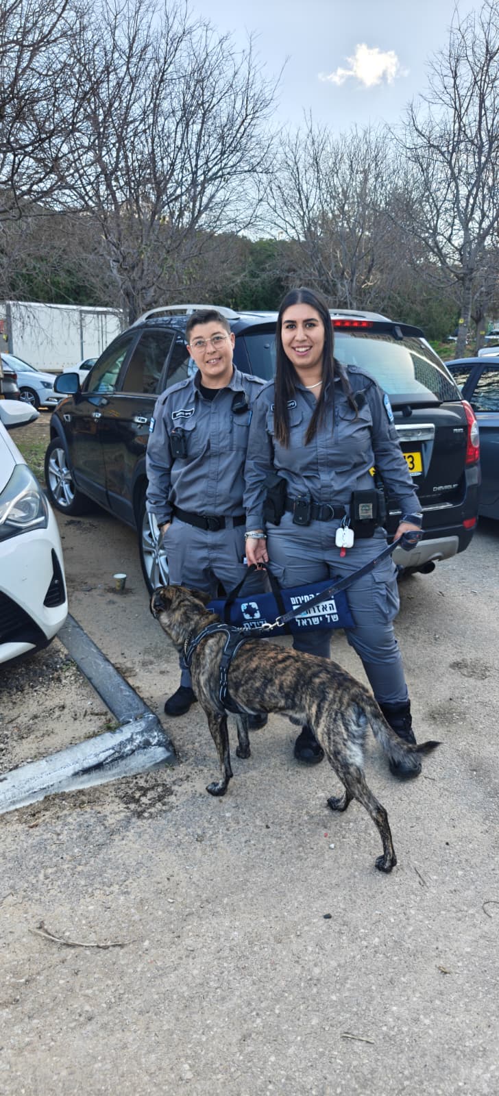 bat yam yedidim dog