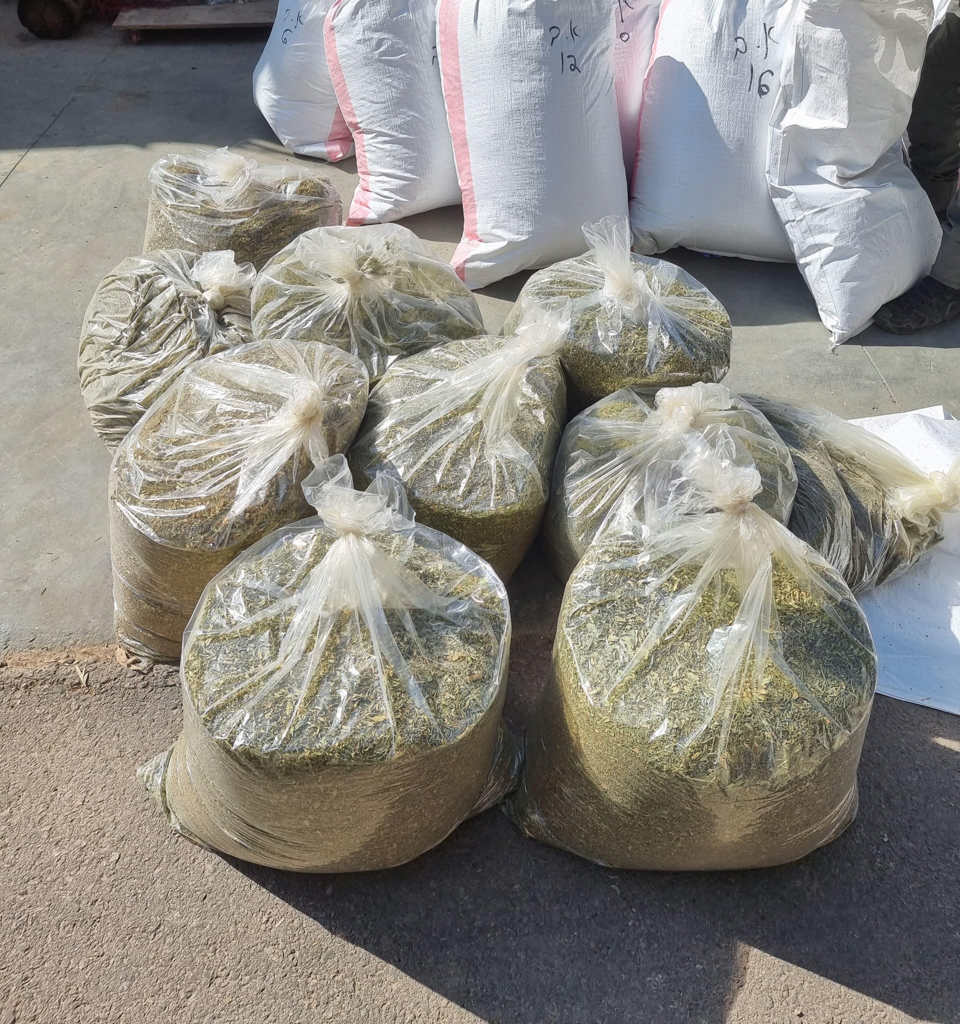 drugs yagel