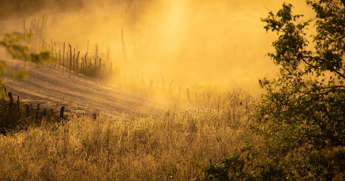 dusty wheather