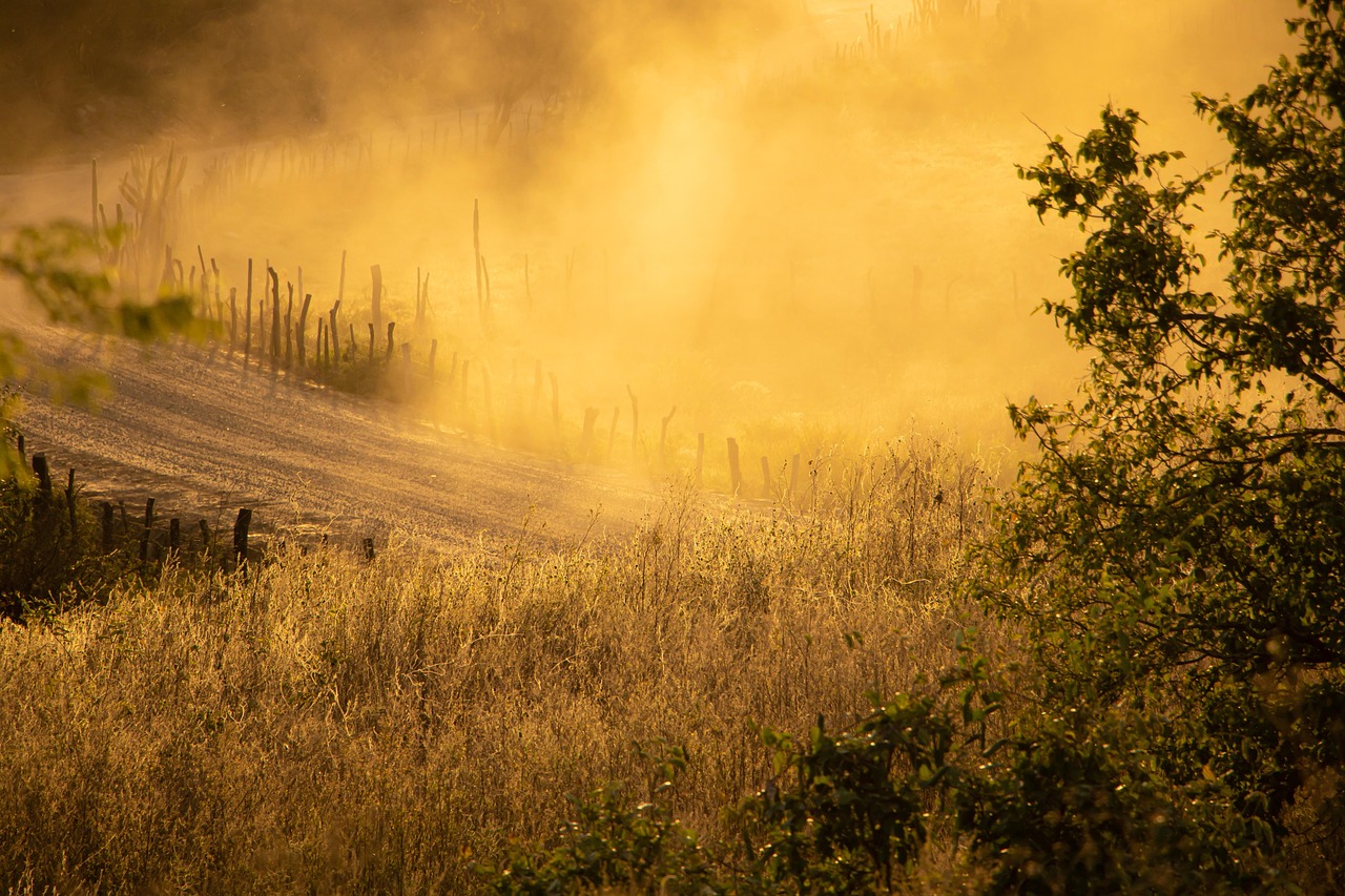 dusty wheather