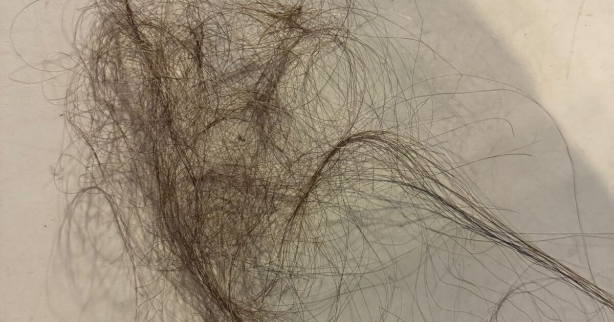 police hair