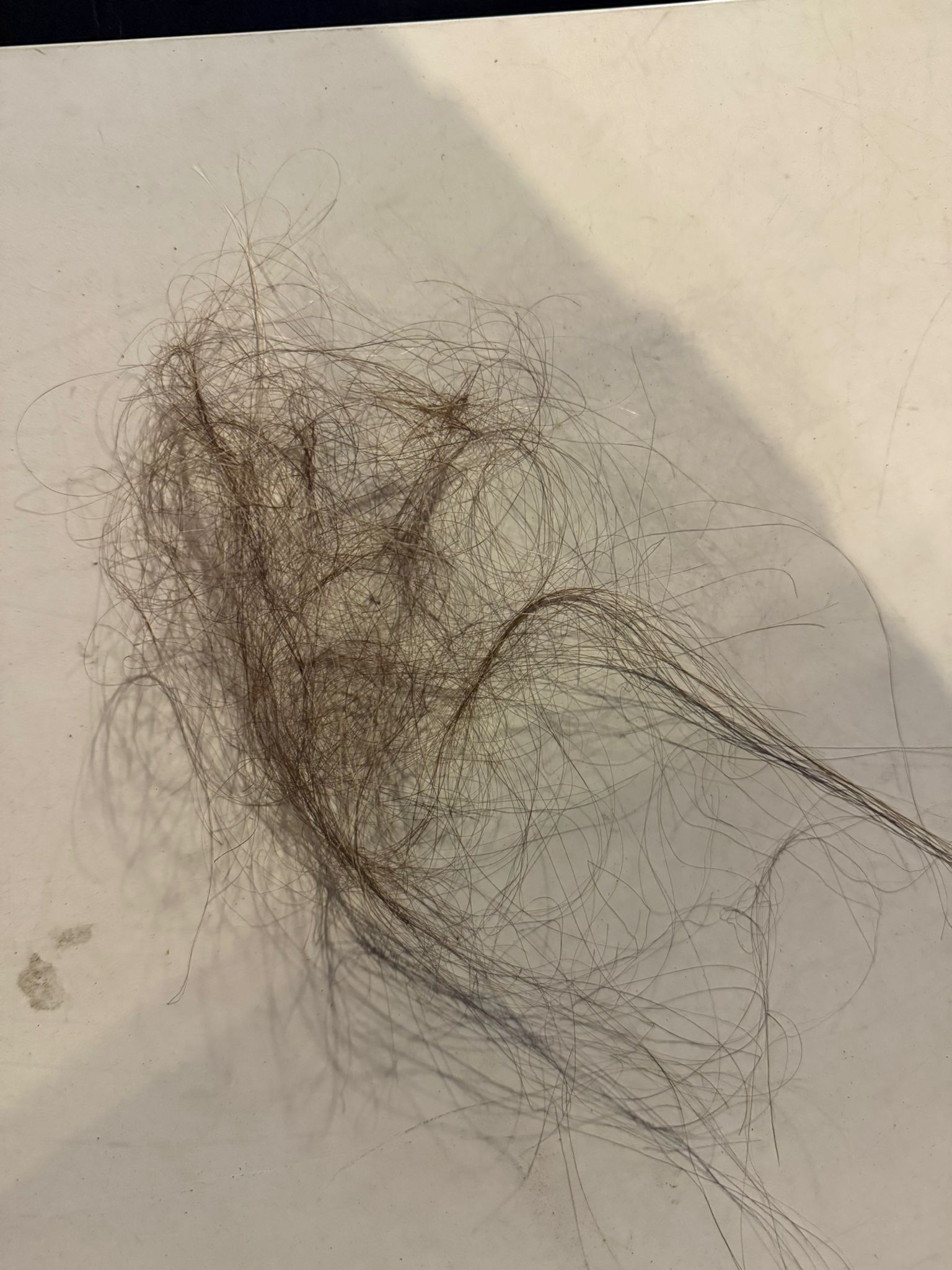 police hair