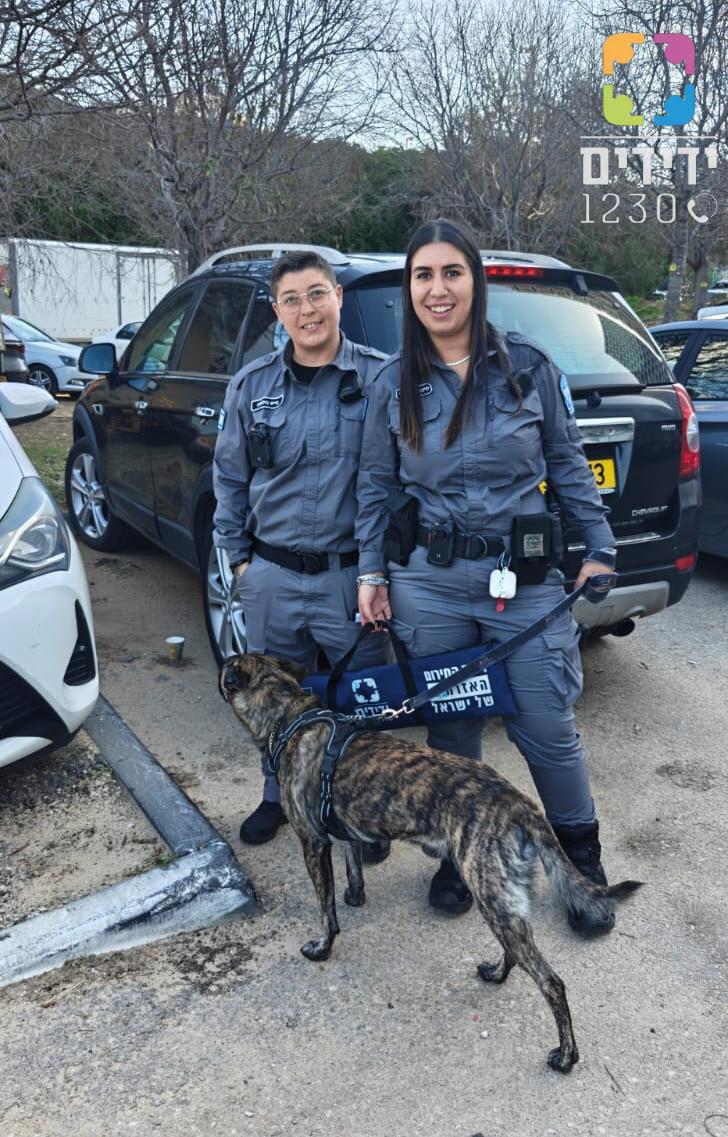 yedidim bat yam dog