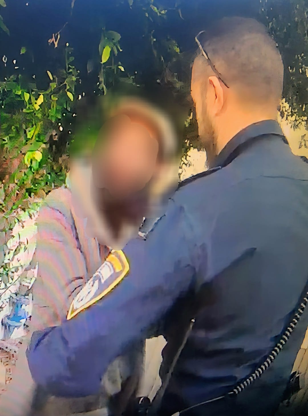 arrest rehovot break