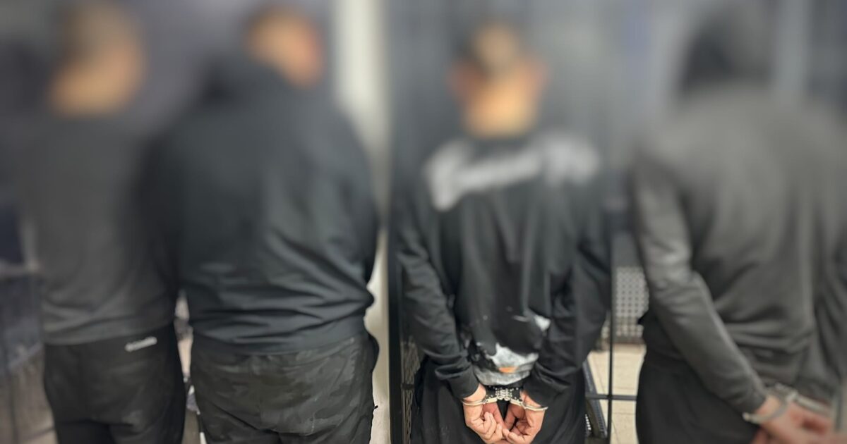 jaffa 4 arrest shod alim