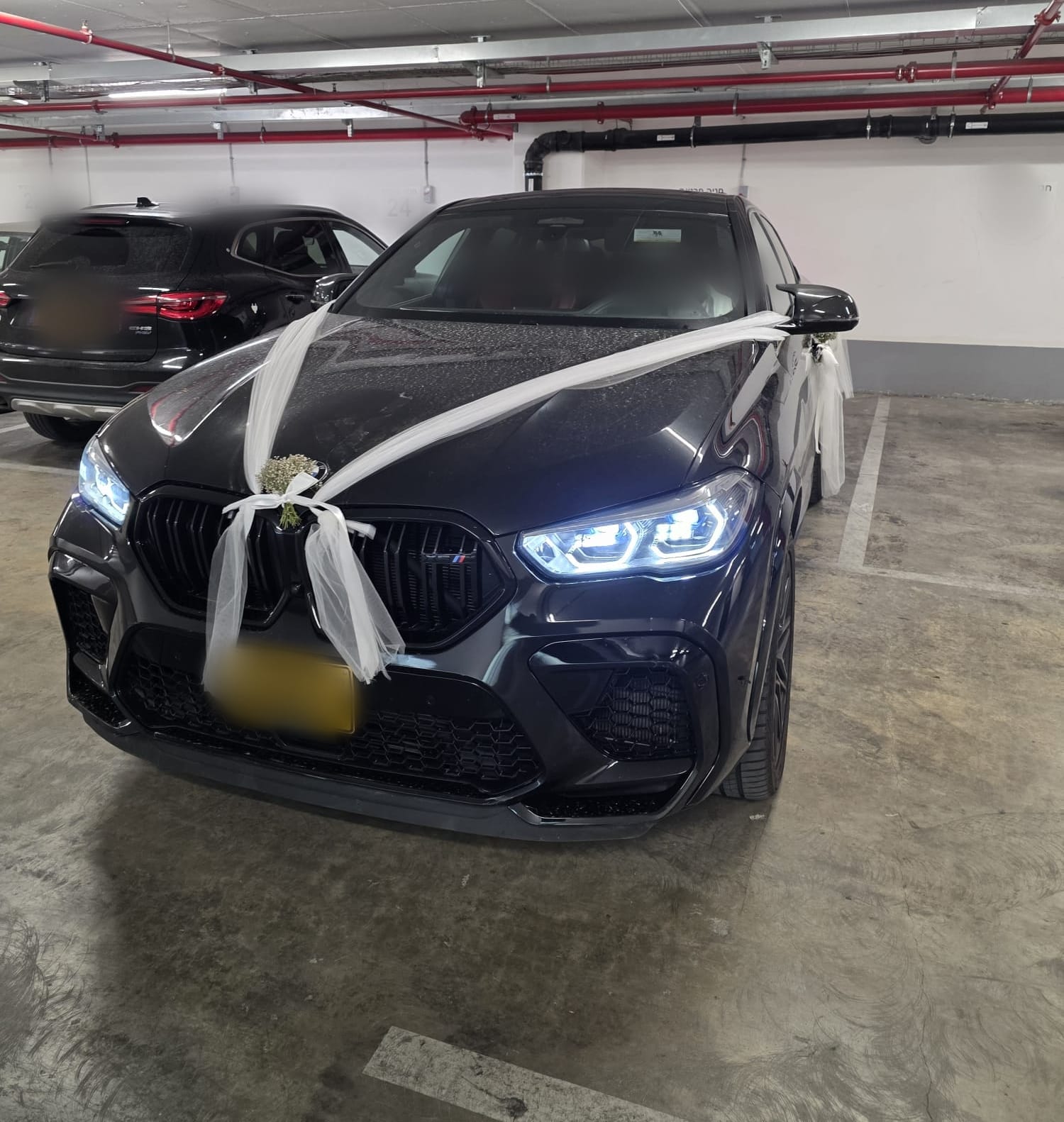 luxury car rg