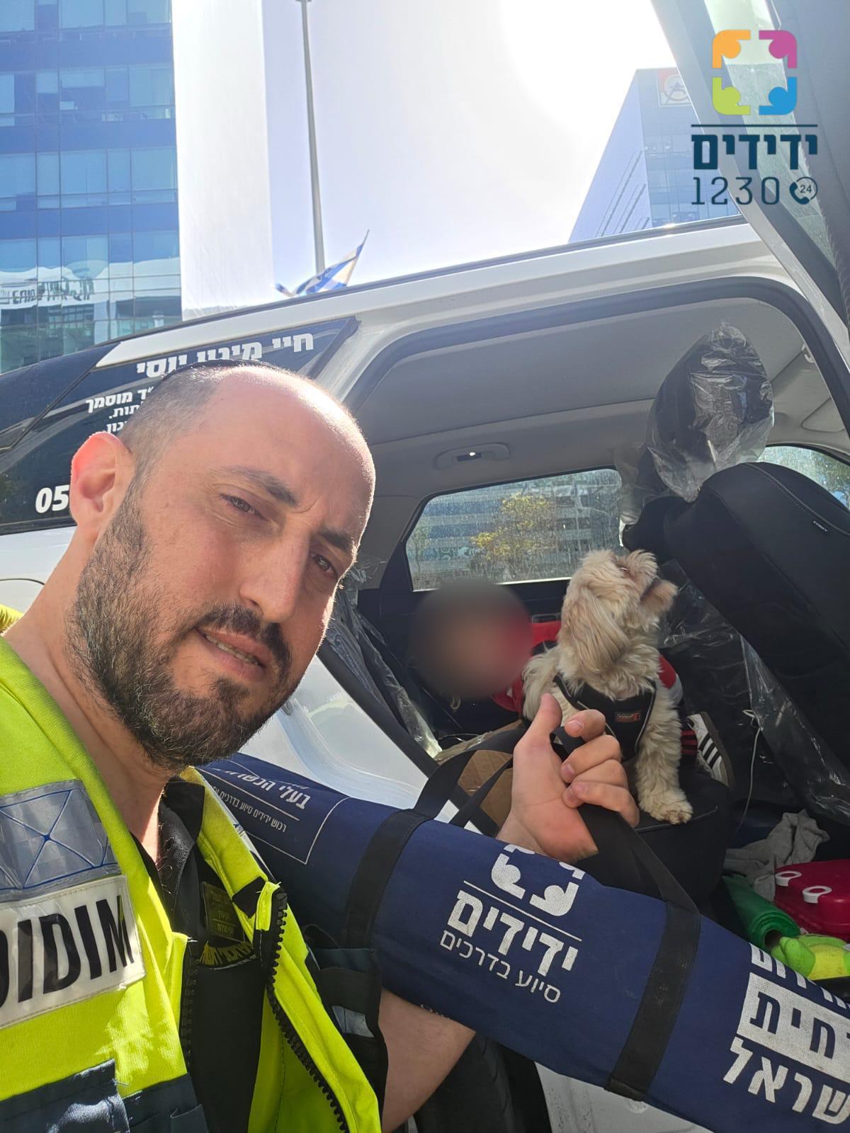 holon yedidim dog