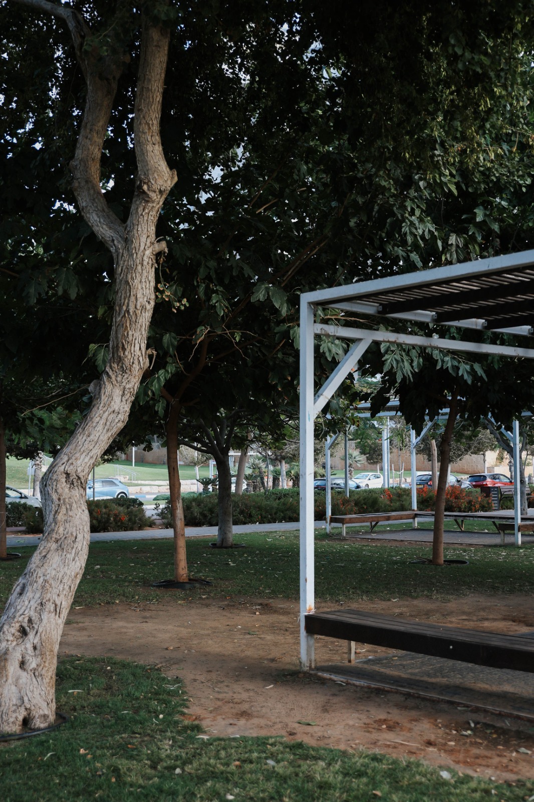 mangal bat yam