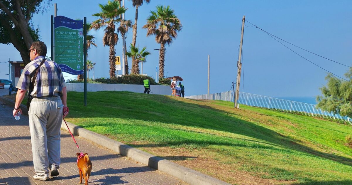 dog bat yam