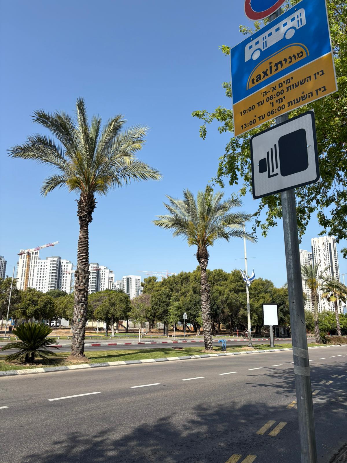singh bat yam