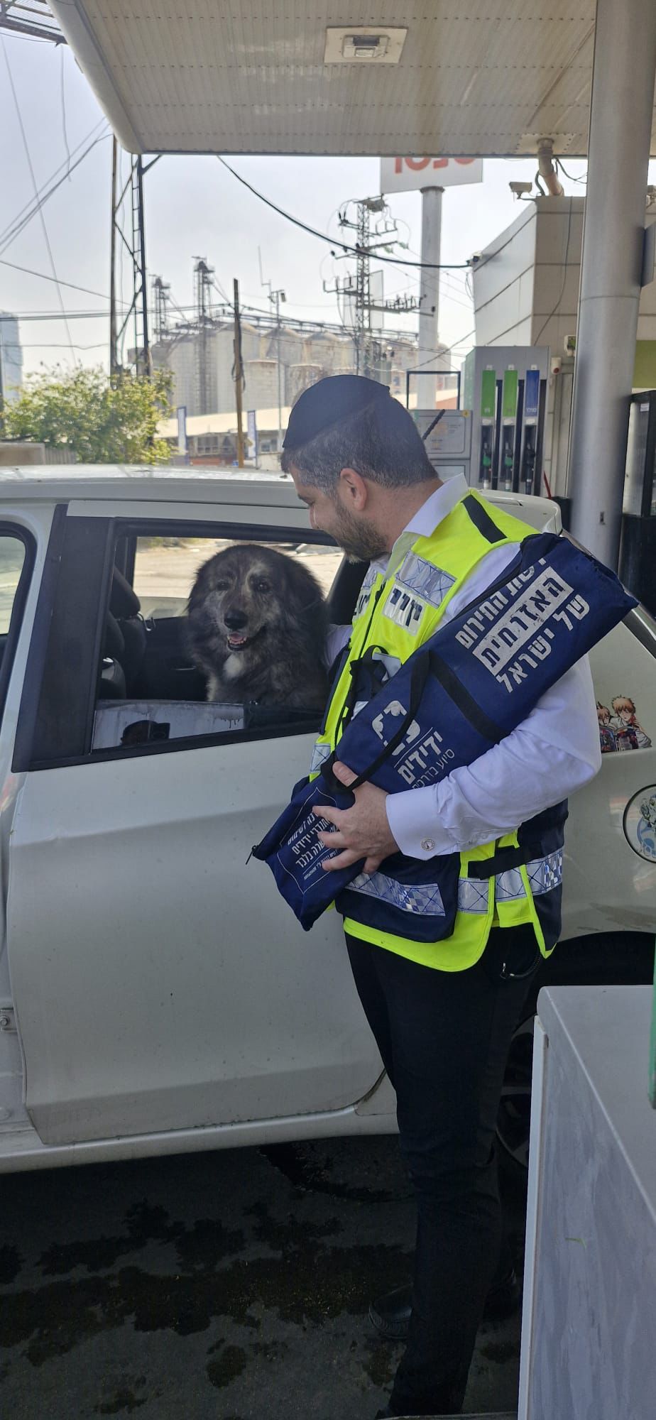 yedididm dog rg
