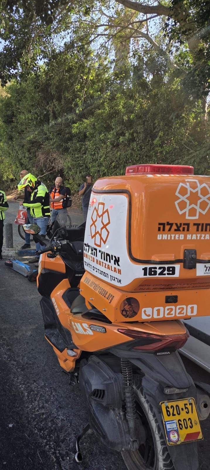 ehod hazal tlv 50