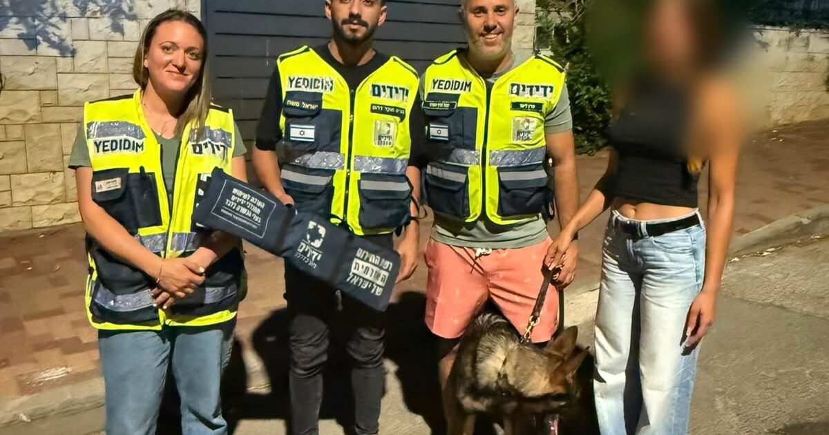 gan yavner yedididm dog