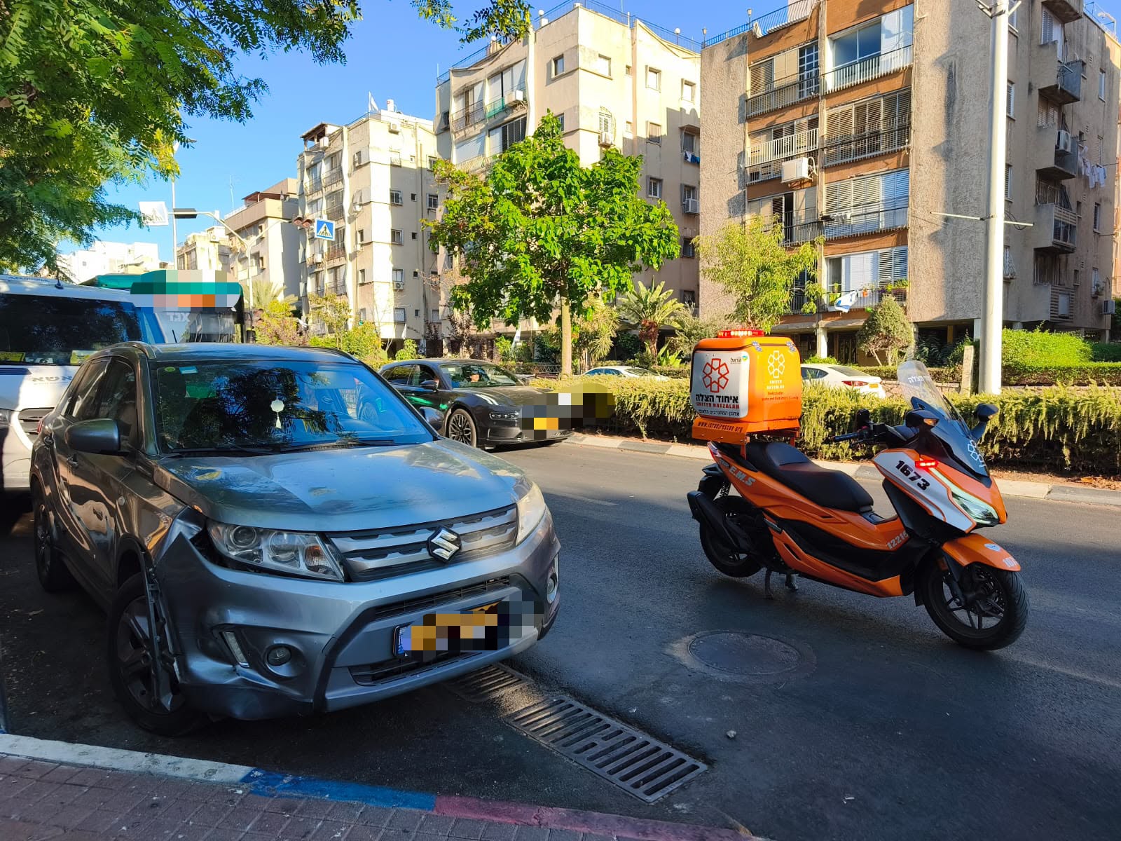 holon hit woman bus