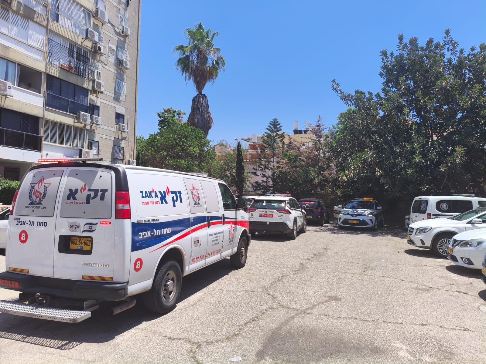 zaka bat yam 50