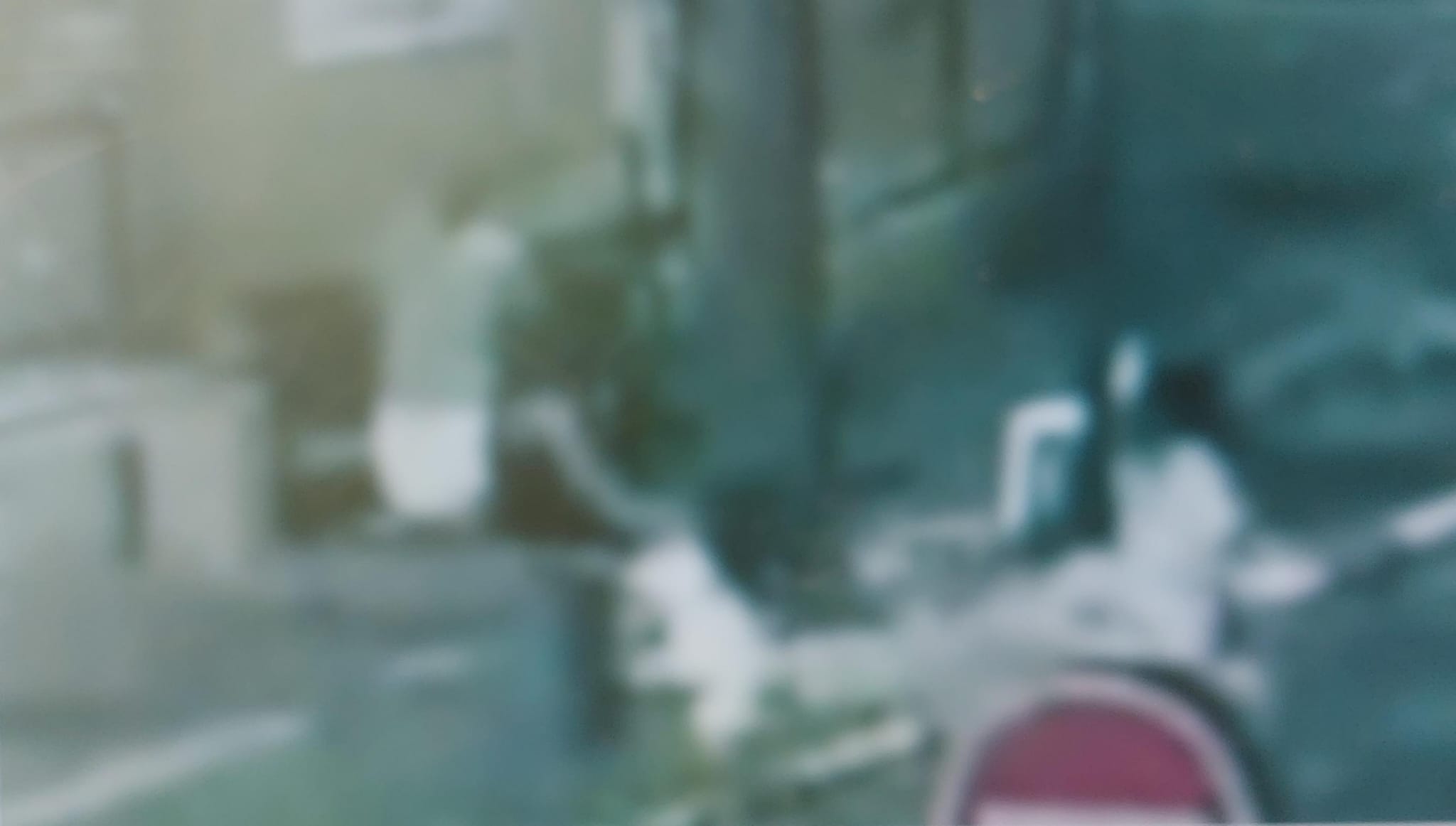 attack woman beut shemesh