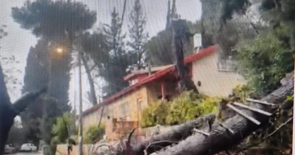 beit zait hashmal