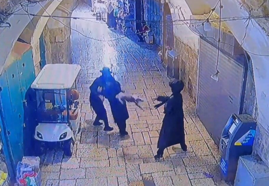 viokenc jeruslam dog