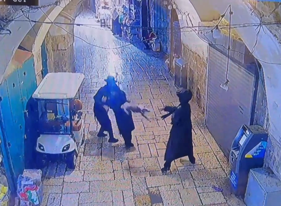 viokenc jeruslam dog