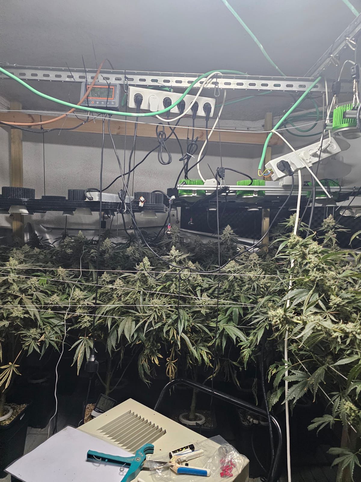 drugs yehoda ve shomron