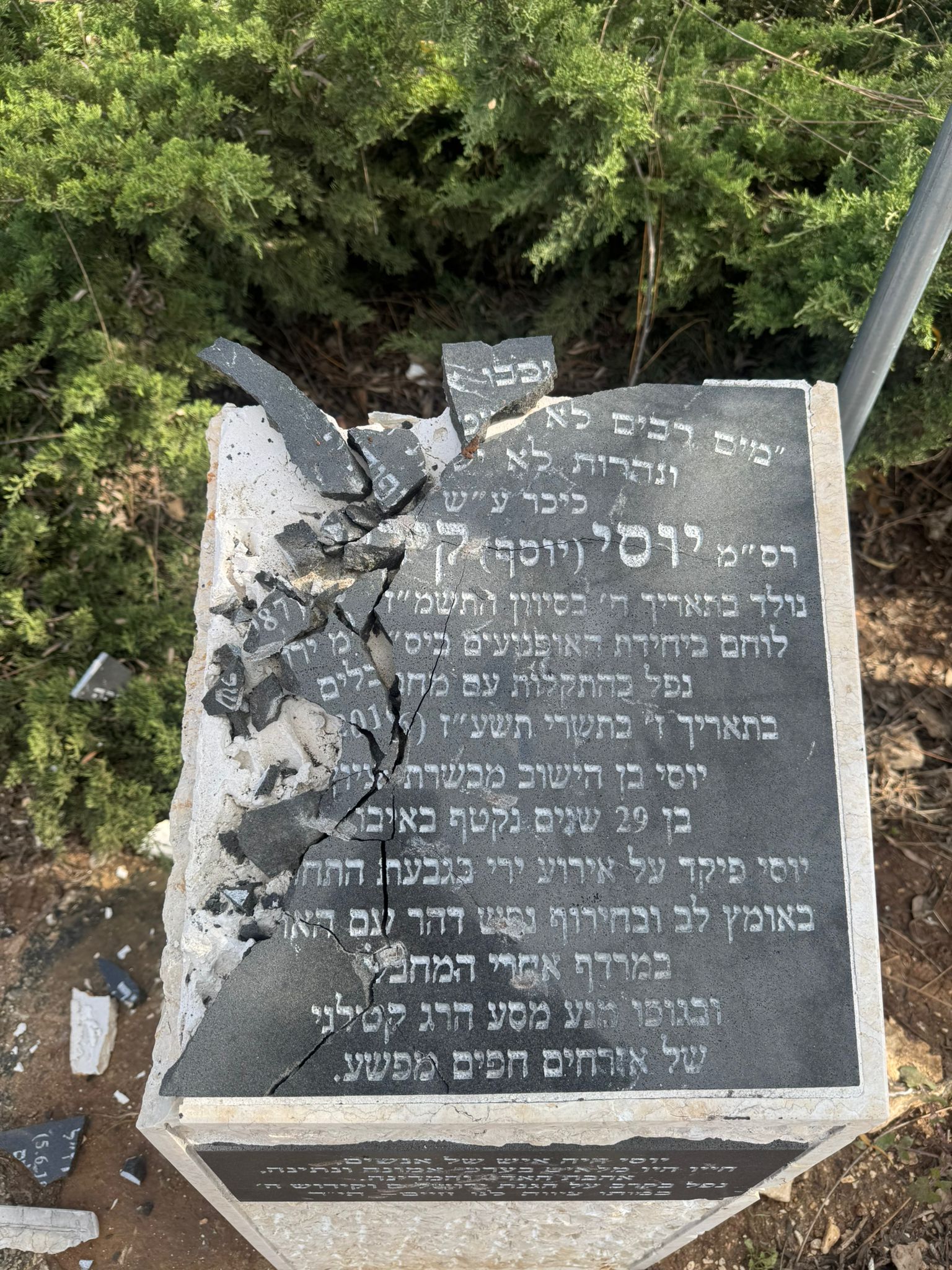 yossi irma