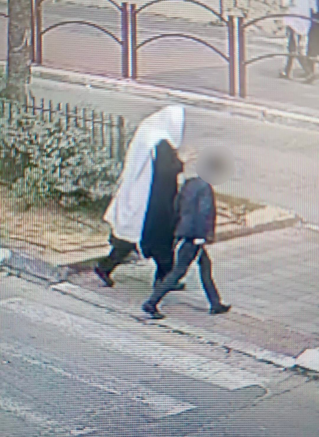 modiin eilit sex effender