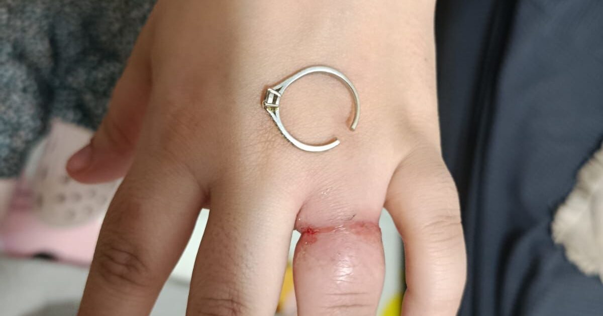 yedididm ring tel zion