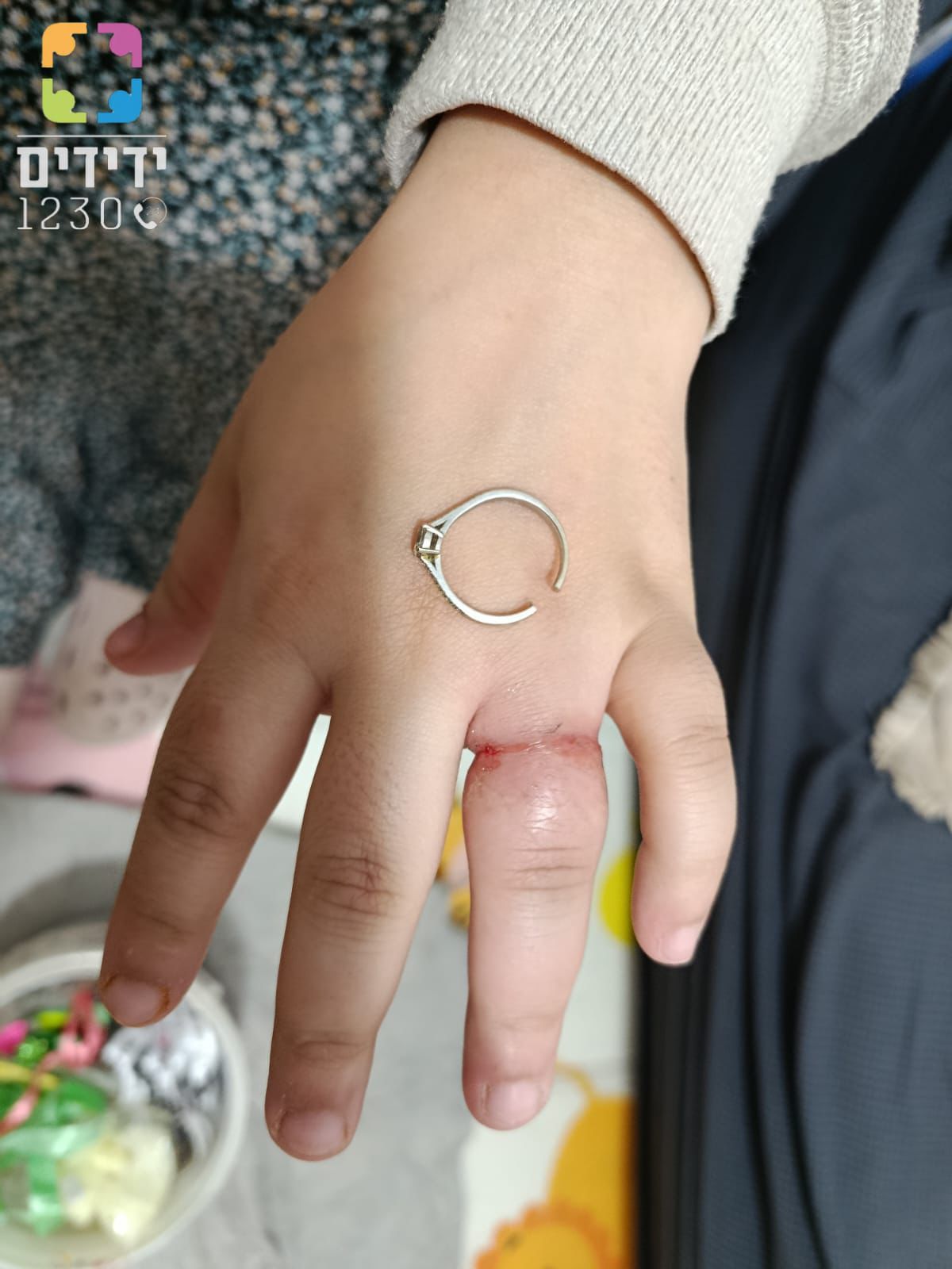 yedididm ring tel zion