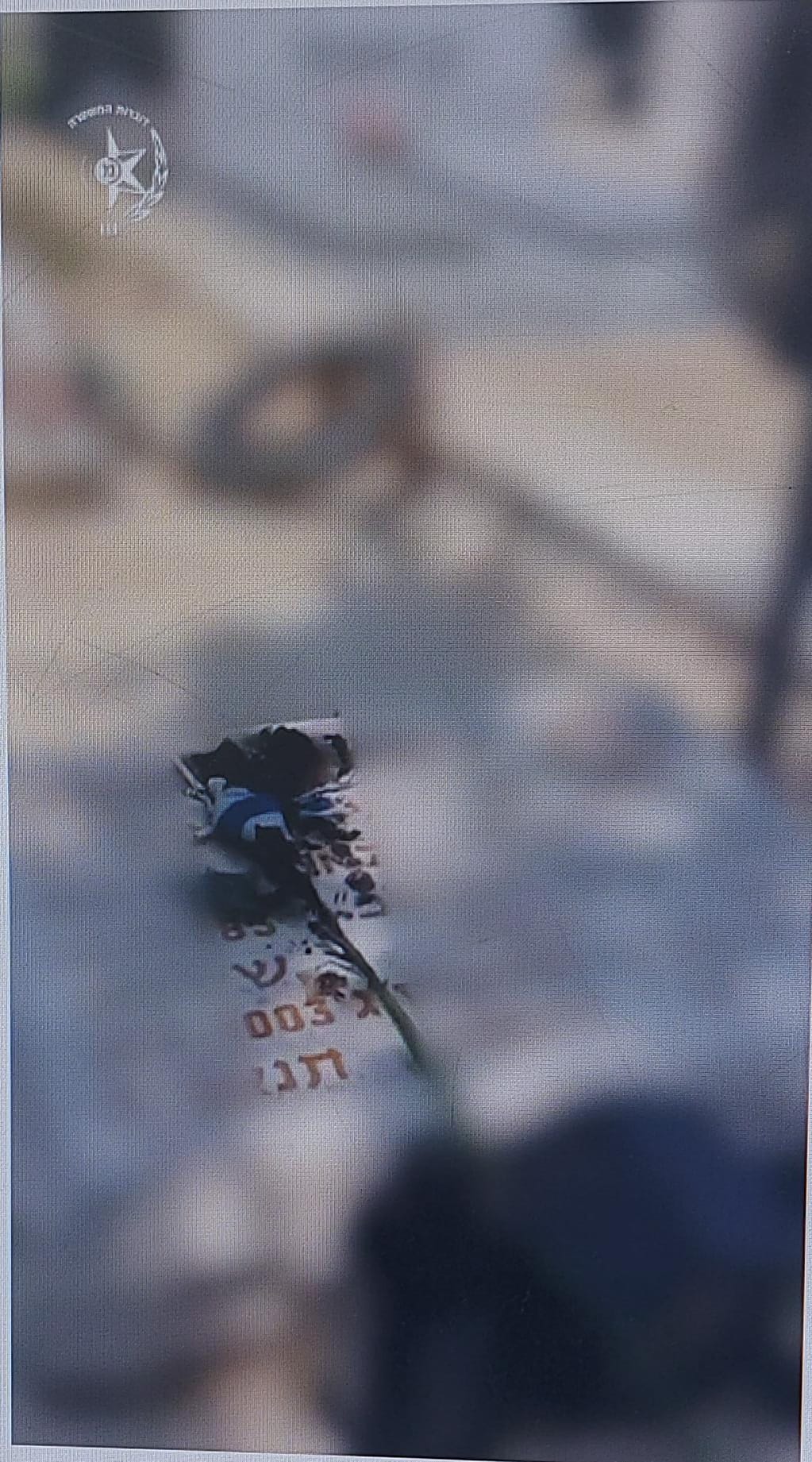 grave or akiva
